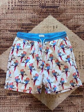 Public Record Men's Parrot Print Swim Trunks Size Large